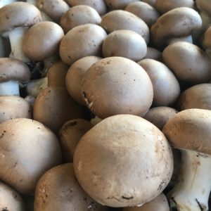 champignon brun de Paris