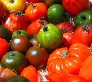 Tomate couleur